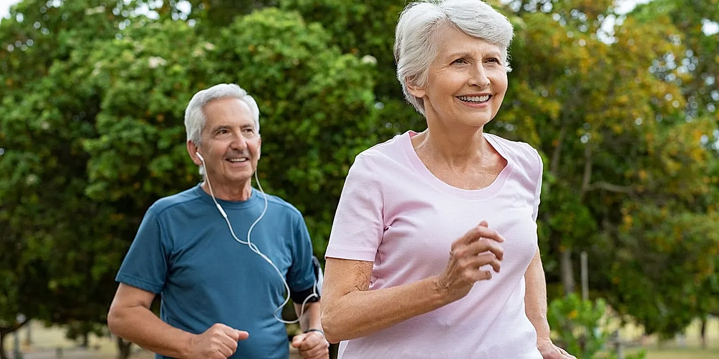 Как спорт защищает мозг от Альцгеймера: новая карта клеток