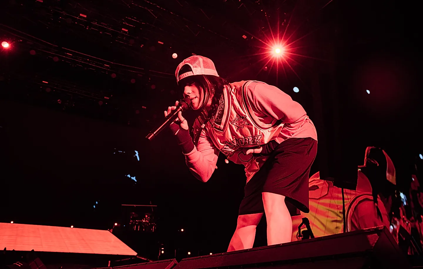 Департамент внутренней безопасности отвечает на критику певицы Billie Eilish по поводу ICE