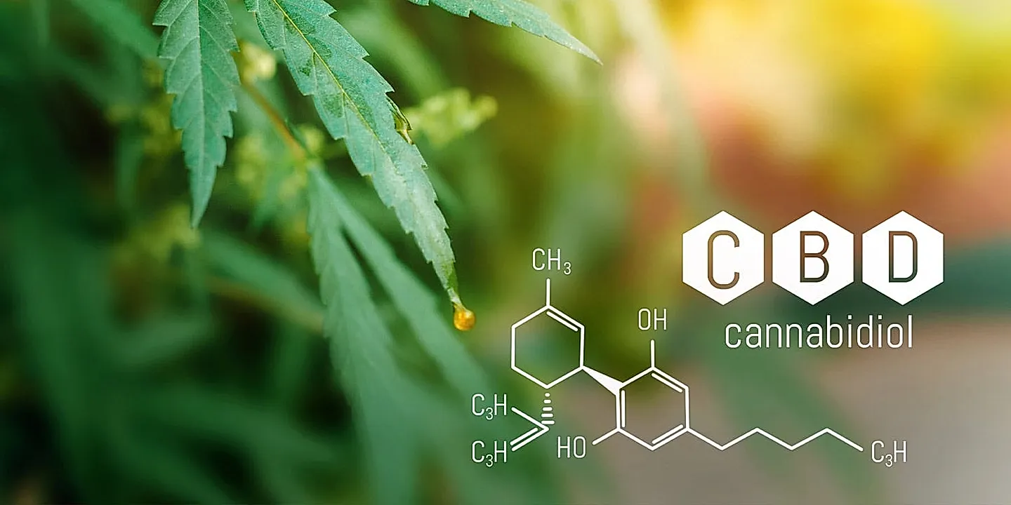 Каннабидиол и защита мозга