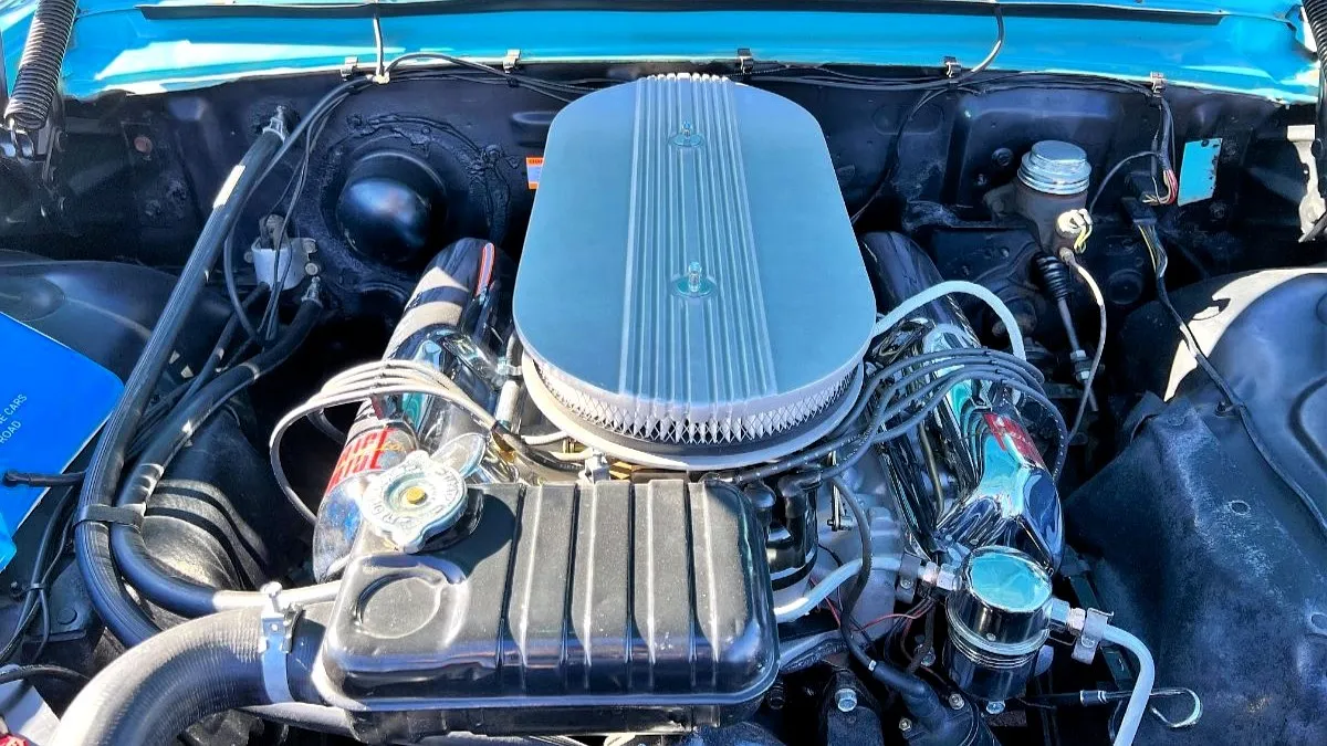 Выставка автомобилей Pavilions: переезд и летние приключения!