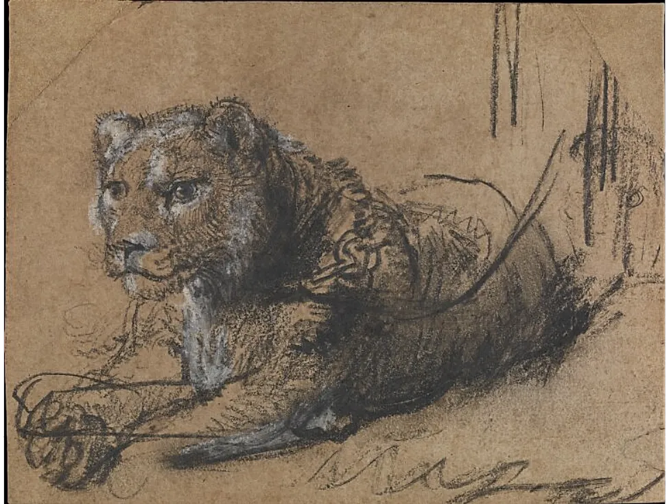 Рембрандт и исчезающий лев