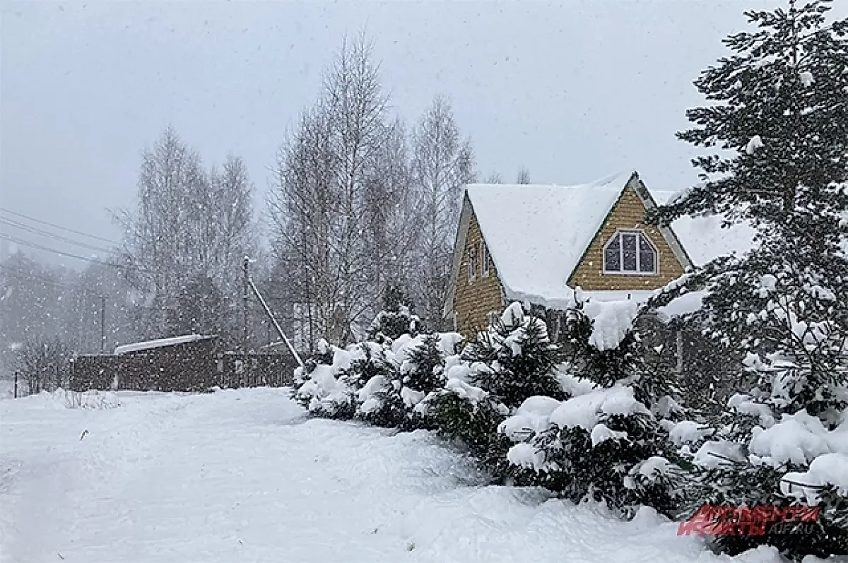 Адресный роман с дачей