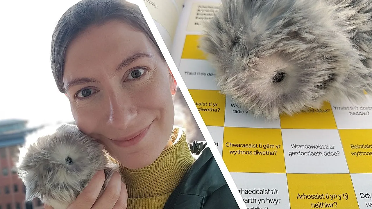 Неделя с роботом‑питомцем Moflin