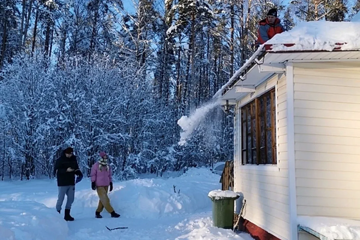 Когда дача становится проблемой