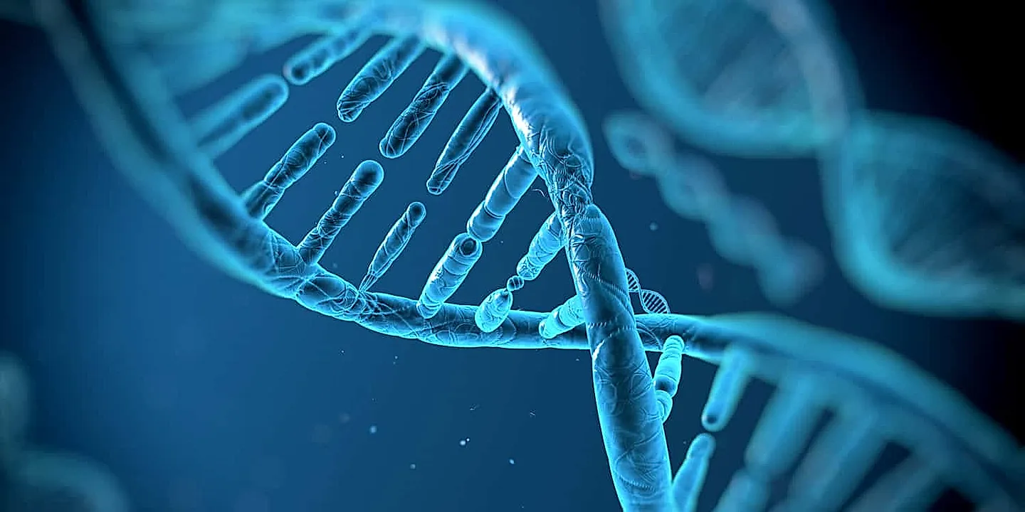 Генетика, тестостерон и депрессия