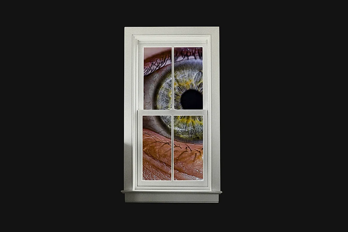 США тонут в цифровой слежке