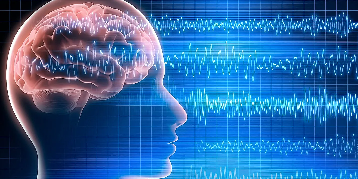 Нарциссы и ошибки мозга