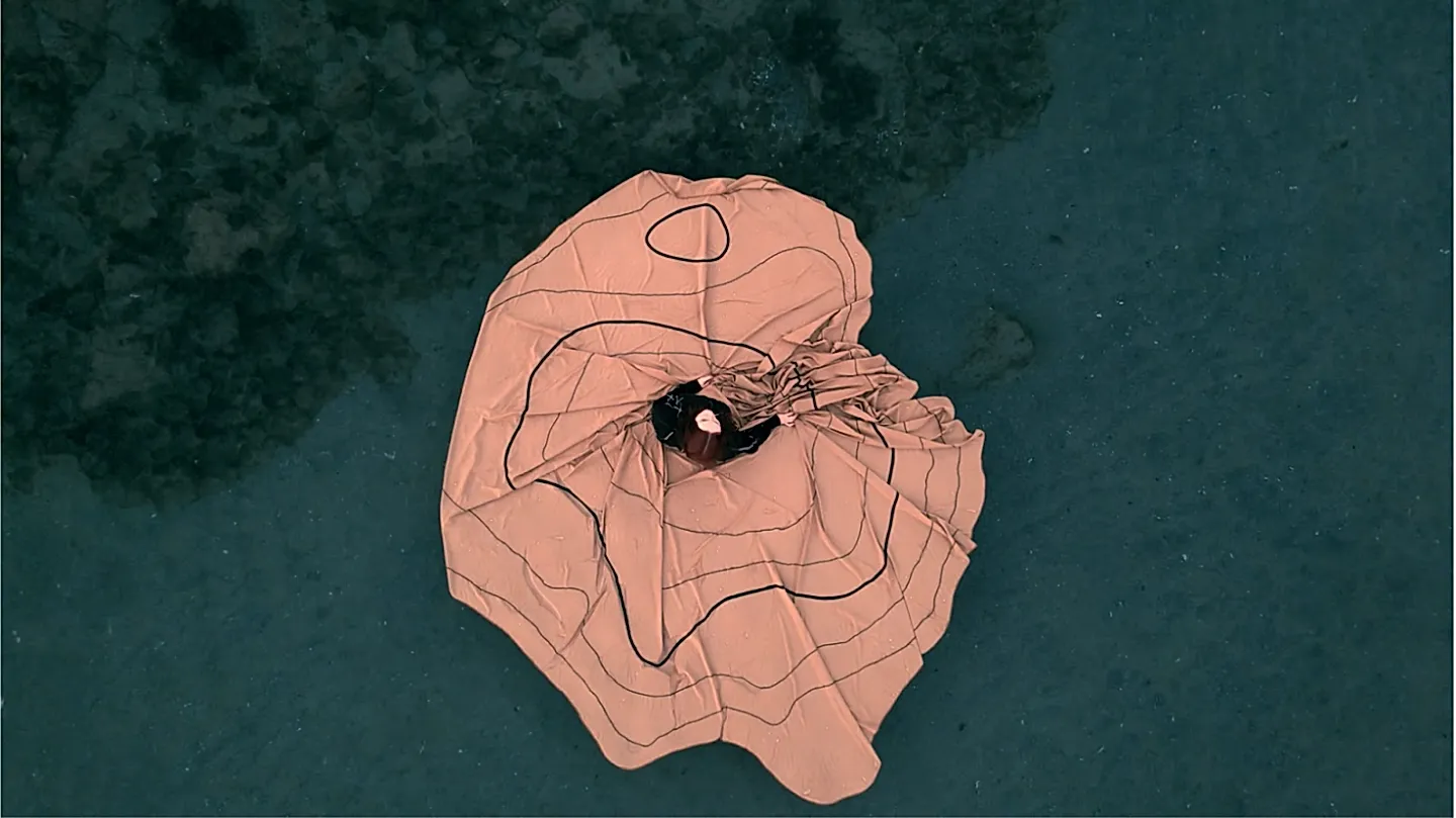 Румыния везёт Чёрное море в Венецию