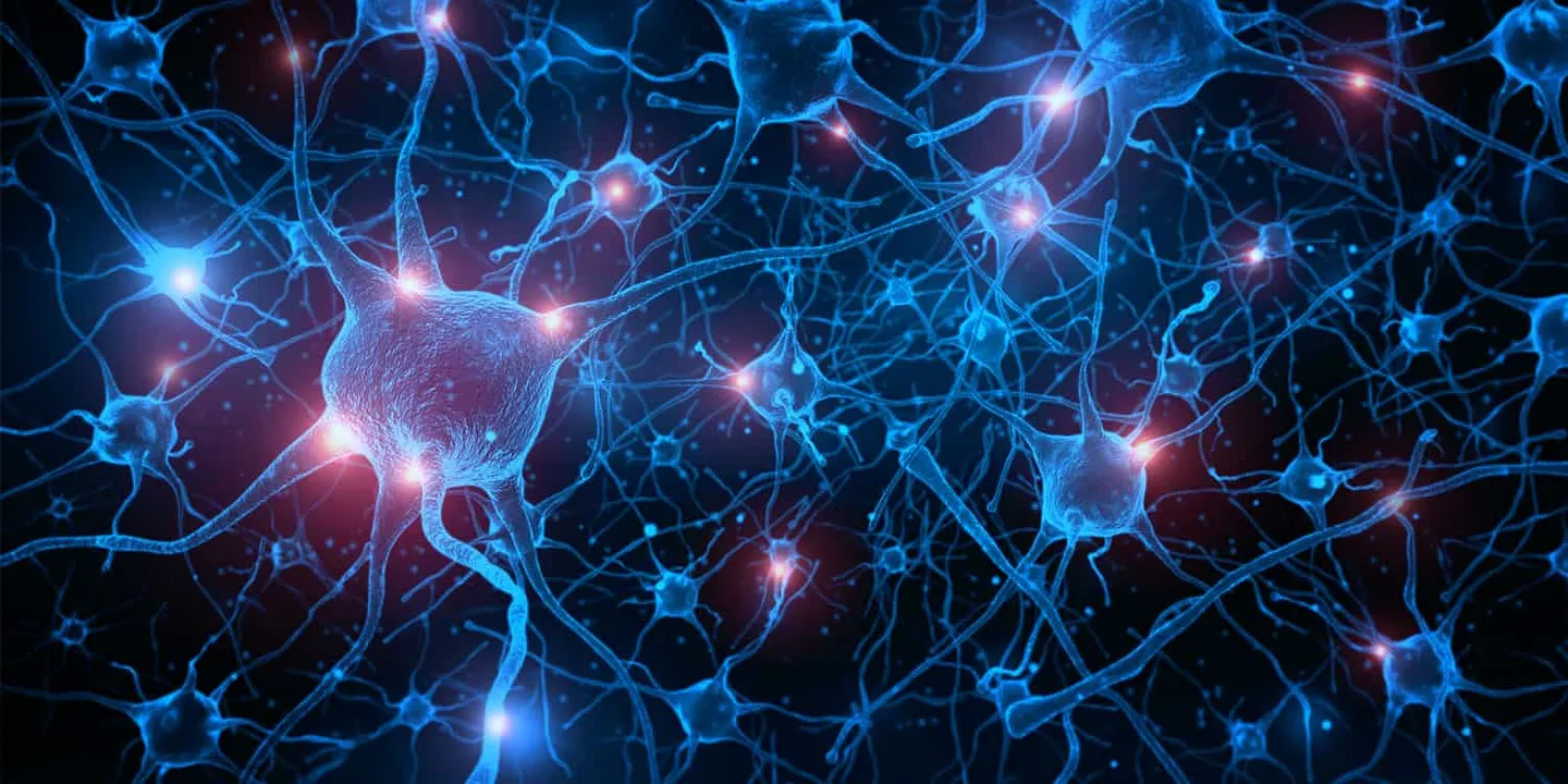 Ашваганда и БАС: Необычное противостояние нейровоспалению и атрофии