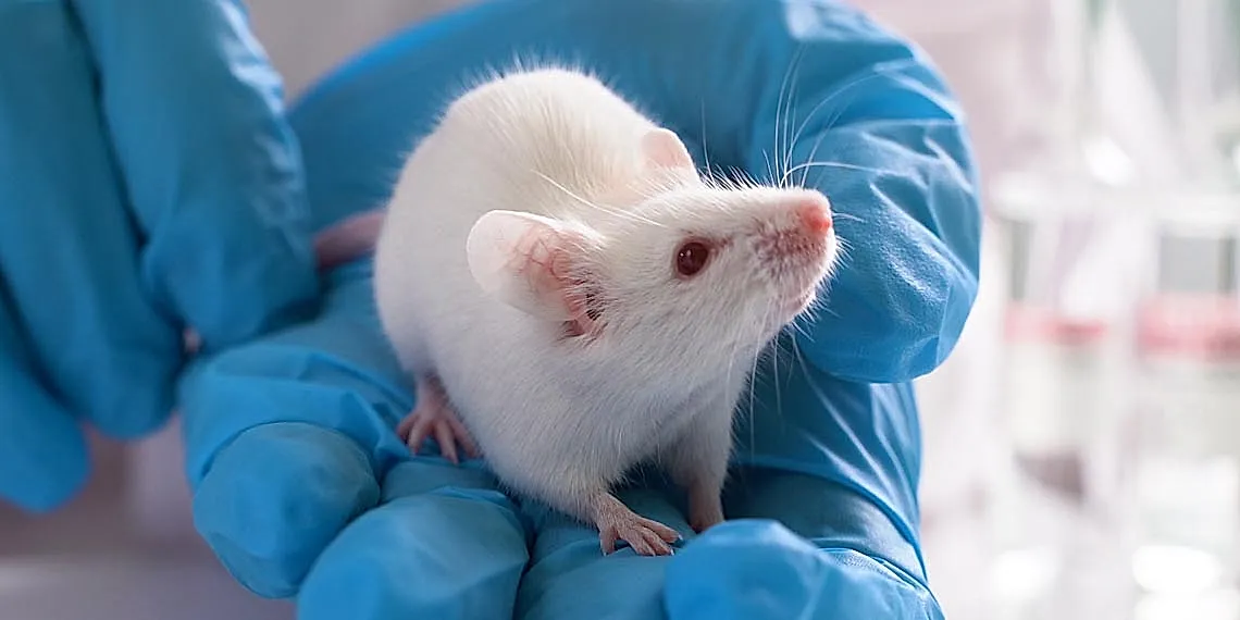 Кетамин против стресса