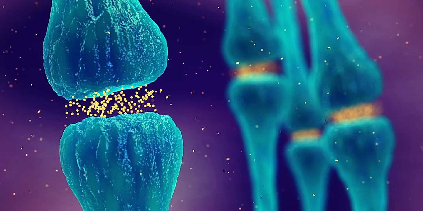 Как мозг ест нас