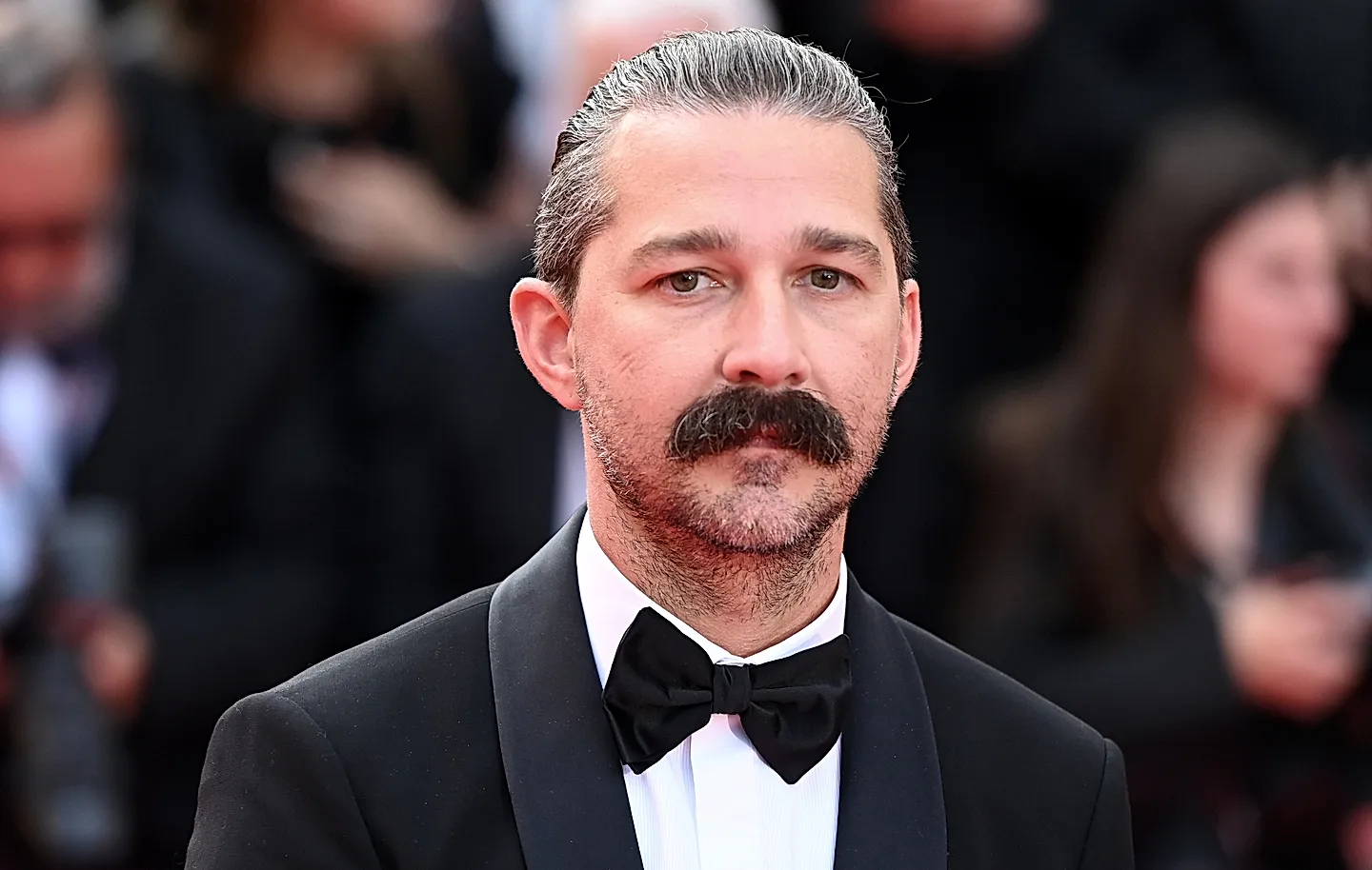 Суд протащил LaBeouf в наркопрограмму