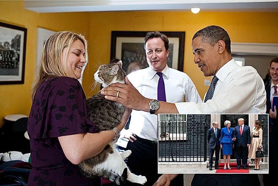 Ларри: 15 лет при власти