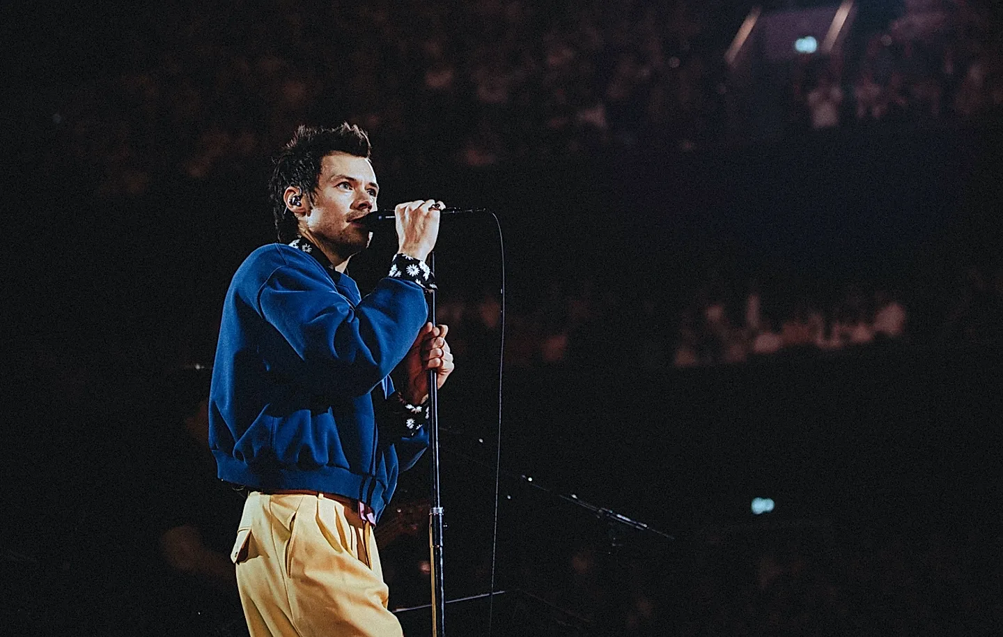 Гарри Стайлс и ночь без телефонов