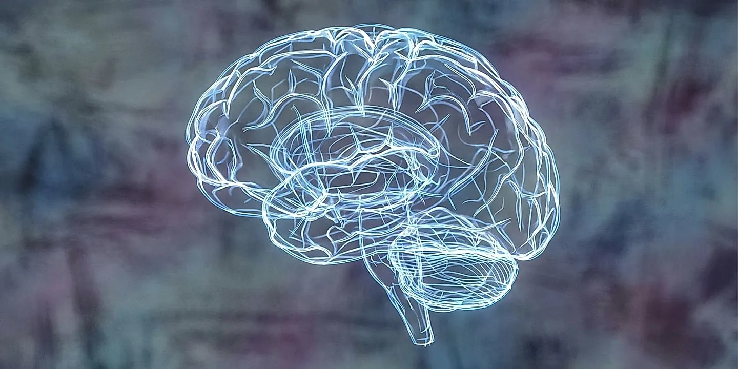 Детство, мозг и диагнозы