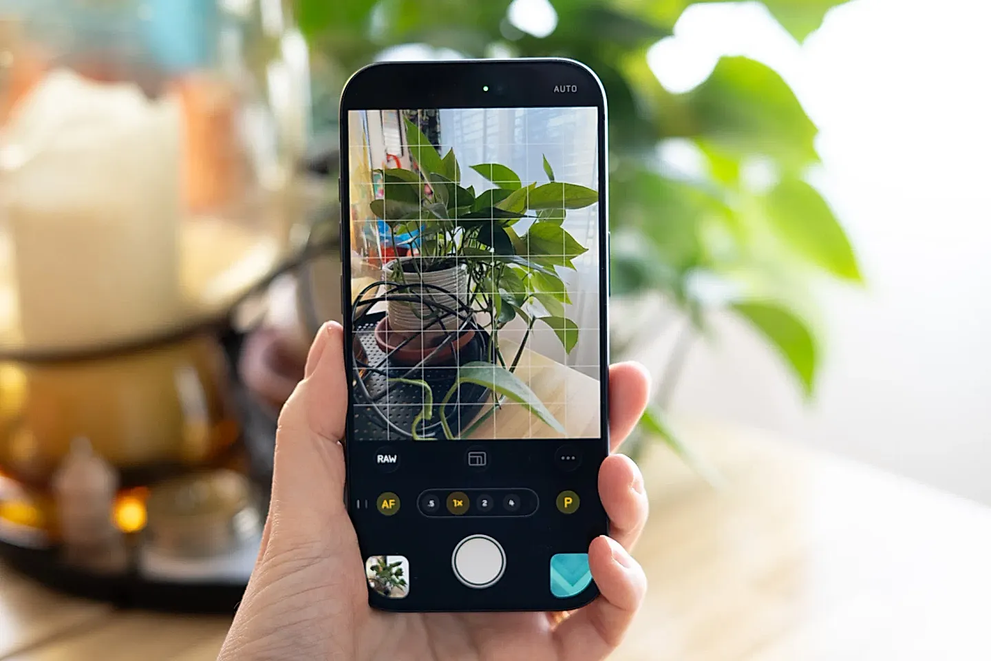 Иск внутри Halide