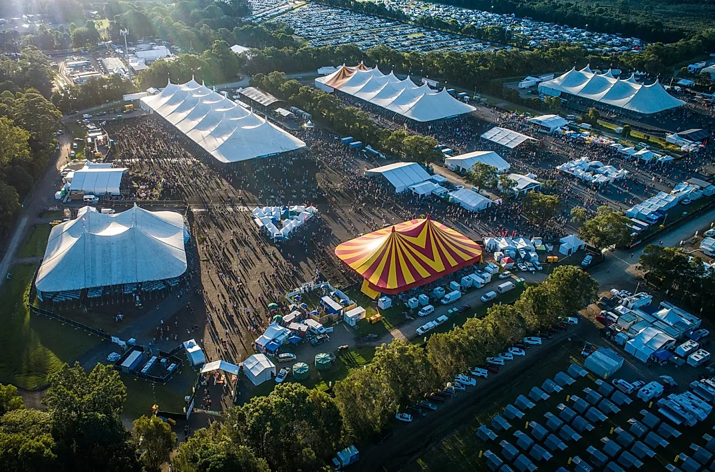 Падение легенды: конец Bluesfest