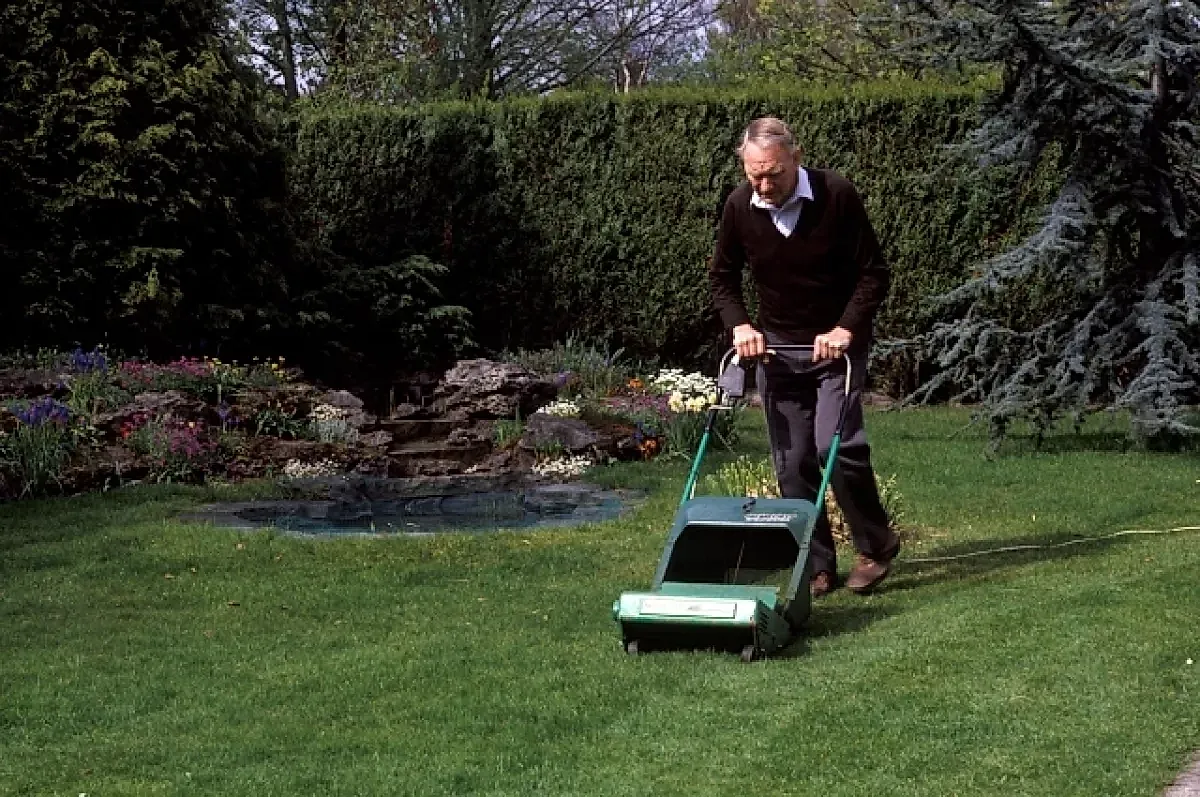 Как выбрать газонокосилку