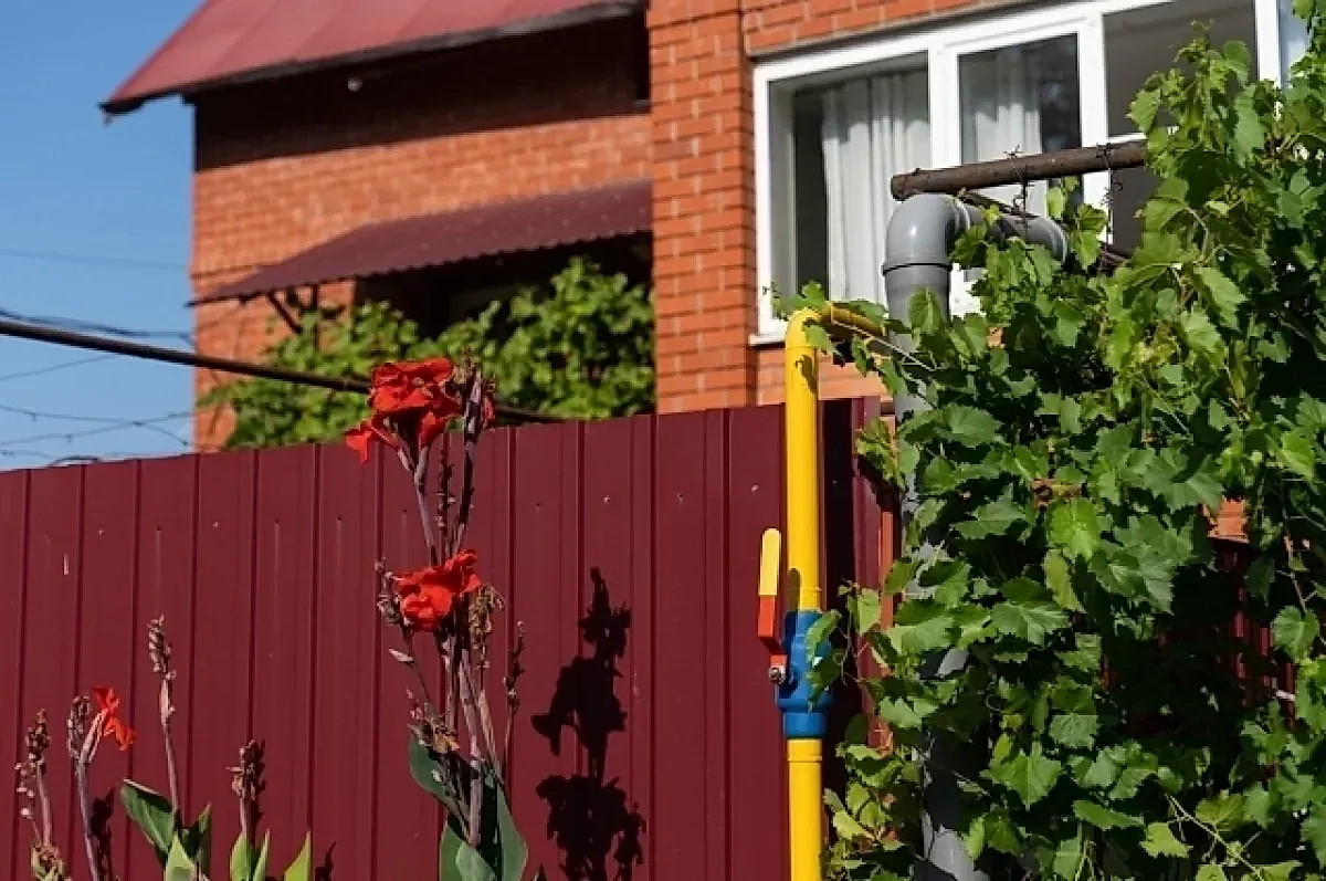 Каратель садово‑огородного режима