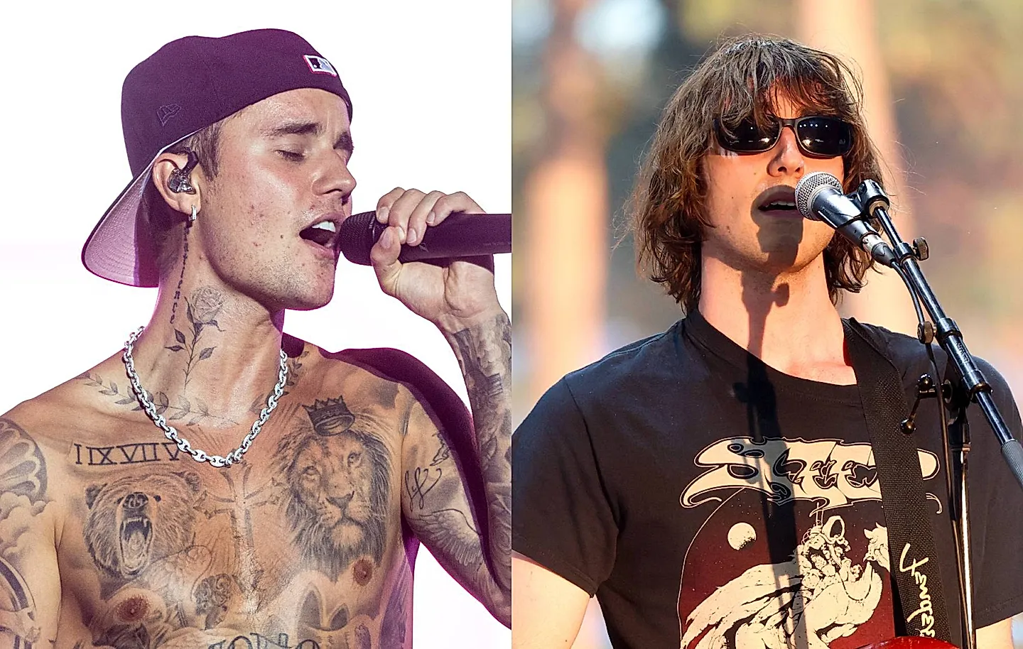 Гуси поют Bieber на Coachella