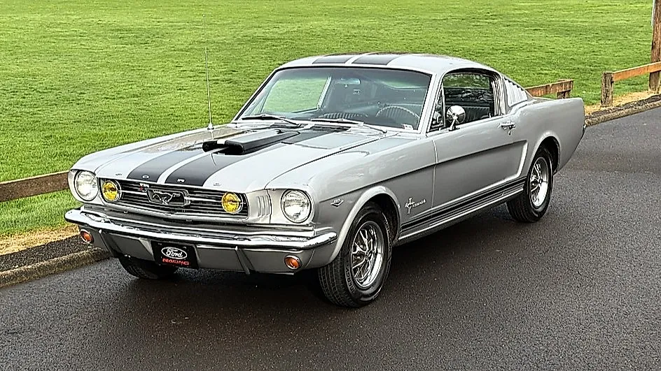 Железные капризы автоэволюции