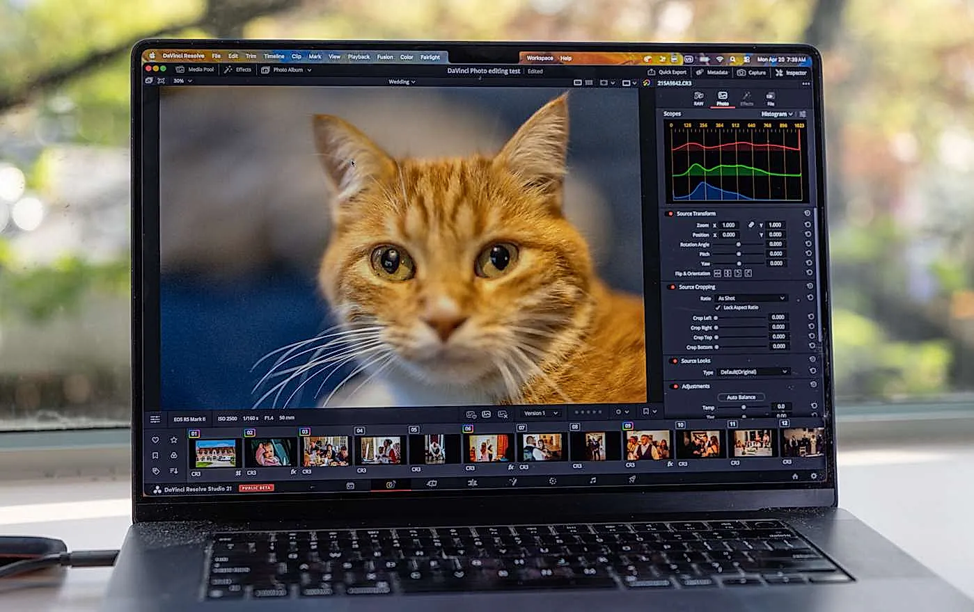 DaVinci Resolve 21 против Lightroom: битва за фото