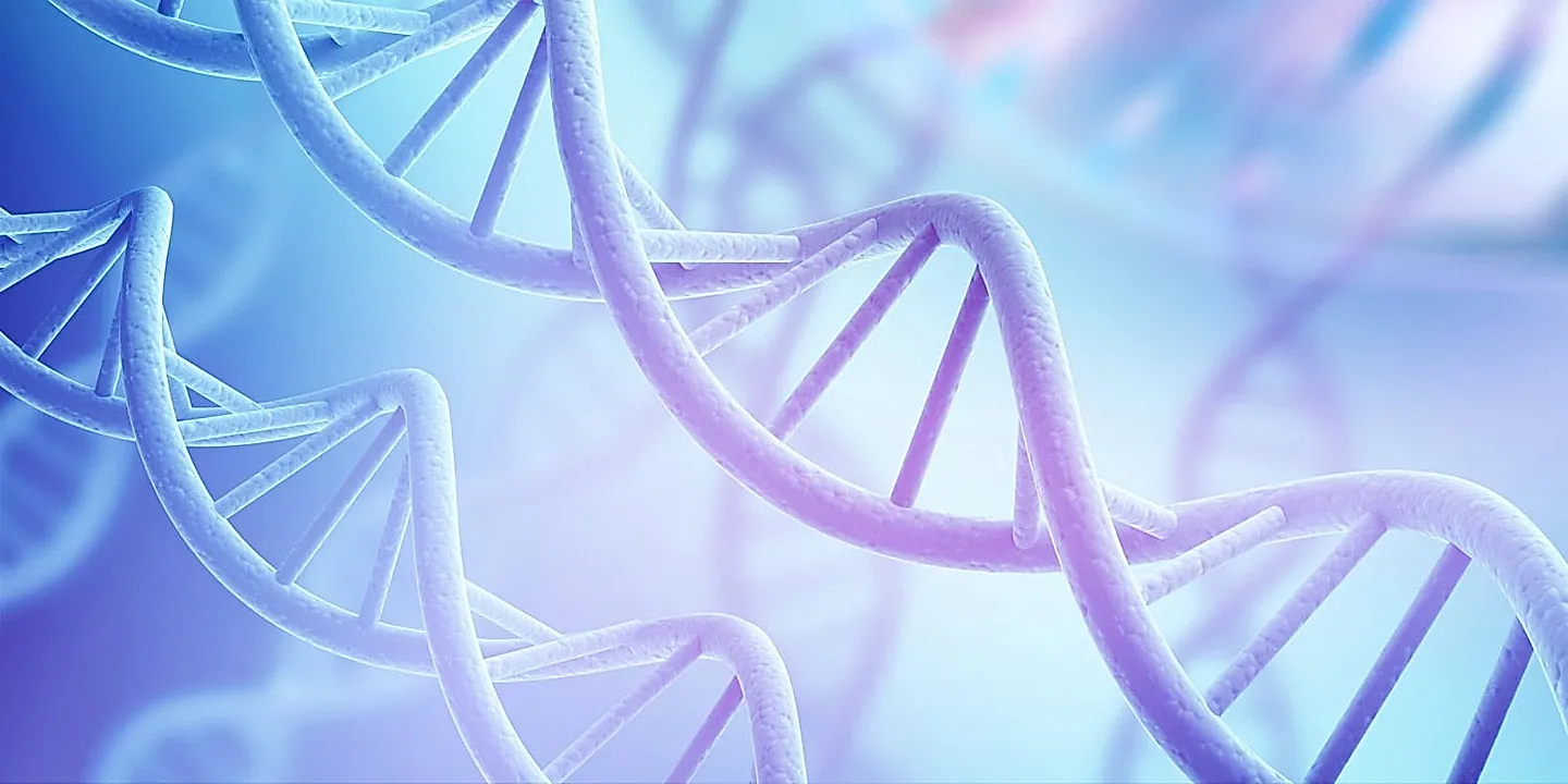 Гены аутизма найдены в проводах мозга