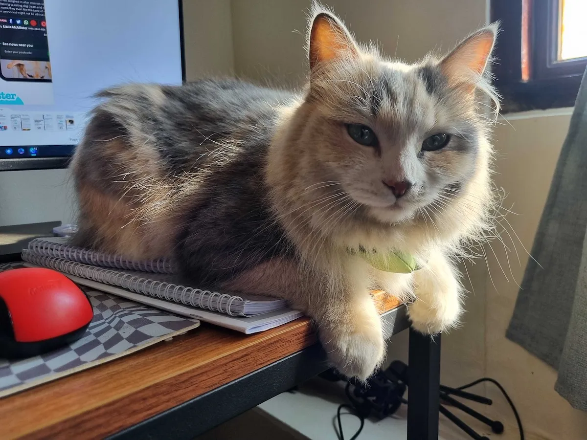 Грустное прощание: Кристал и Айви говорят "до свидания"