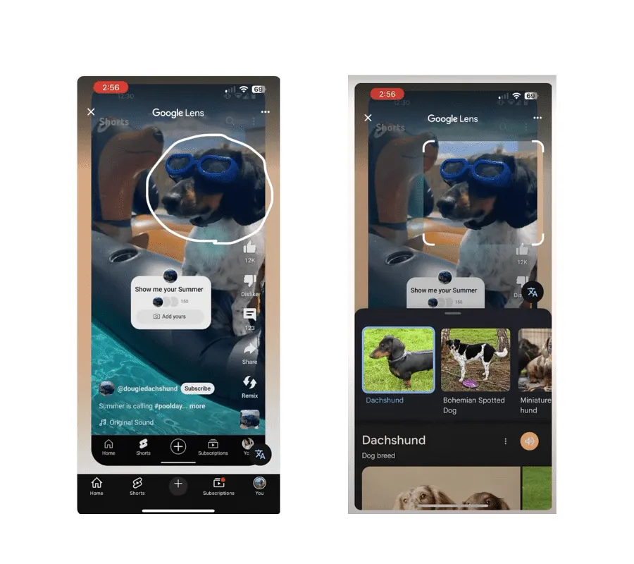 YouTube внедряет Lens в Shorts – слушай, не врет ли твой телевизор?