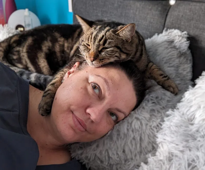 Кирилл и его кошачий репертуар: 6 мурлыканий и их тайные значения