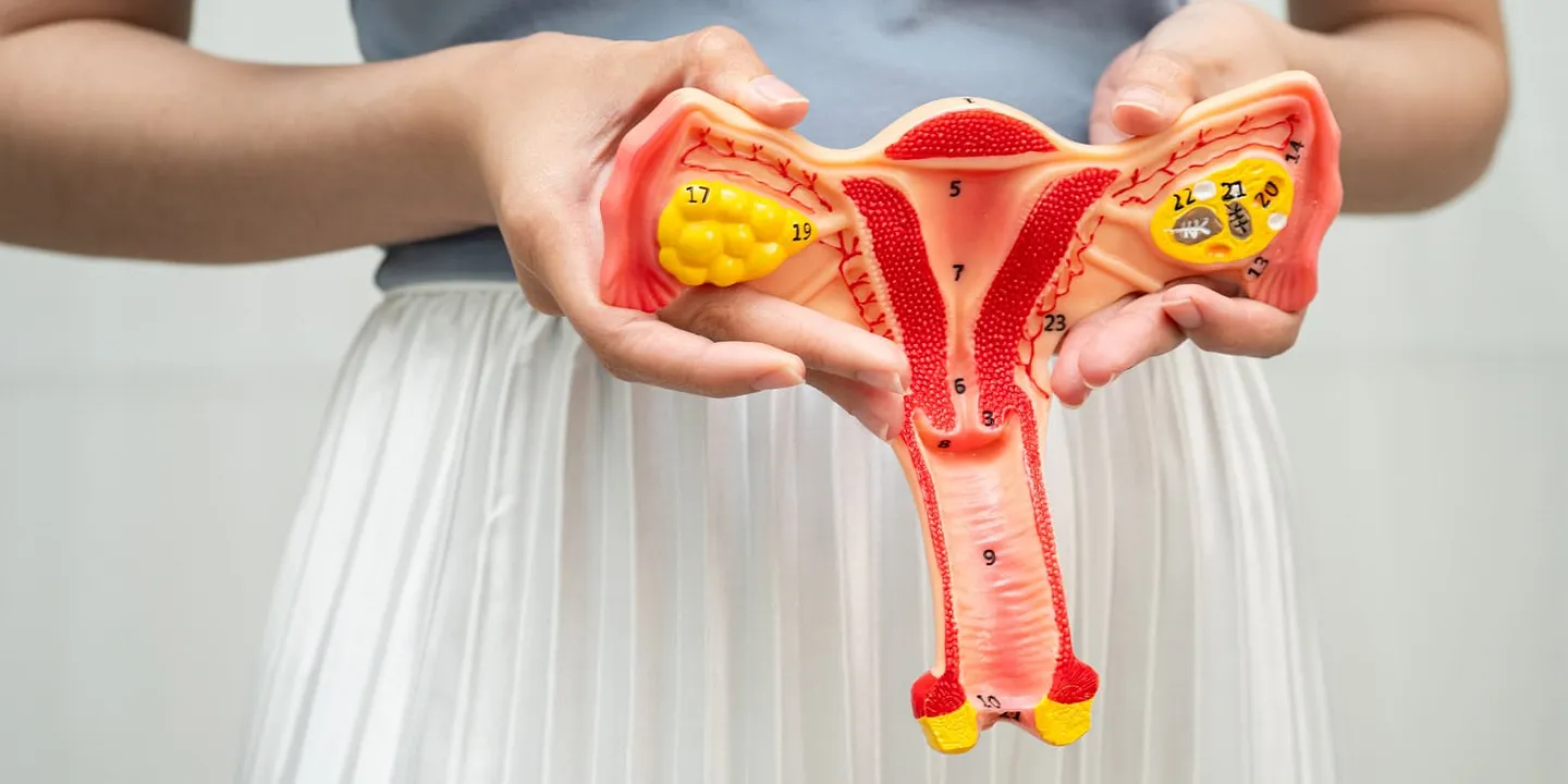 Как слова о «женском» влияют на секс и самооценку: исследование