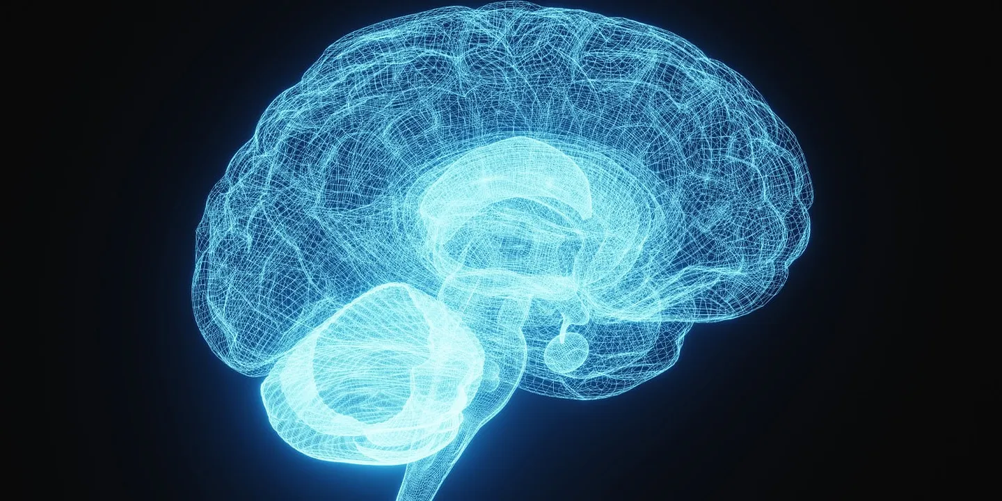 Как ультраобработанные продукты поджигают мозг